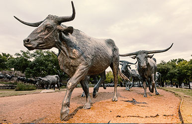 Rent a car in Dallas