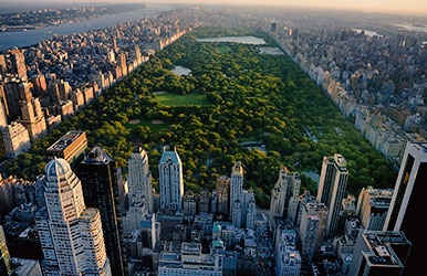 Rent a car in New York